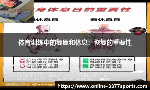 3377体育官网