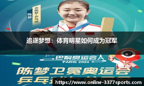 3377体育官网